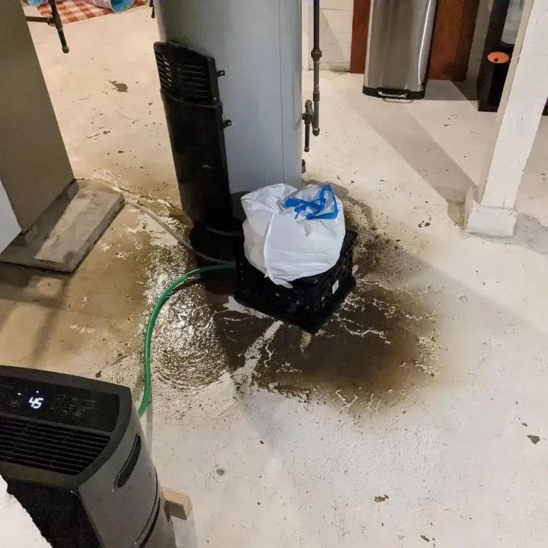 Sewage Backup Cleanup Service in Jeffersontown, KY